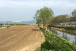 fucino-fiume-agricoltura-abruzzo-notizie-2